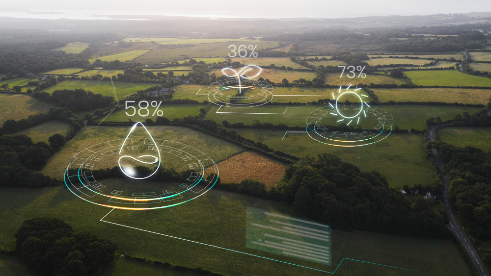 Has competitiveness taken priority over sustainability in the EU? – Implications for Hungarian companies